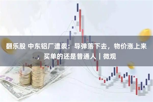 翻乐股 中东铝厂遭袭：导弹落下去，物价涨上来，买单的还是普通人｜微观