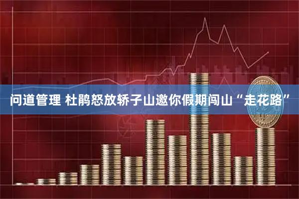 问道管理 杜鹃怒放轿子山邀你假期闯山“走花路”