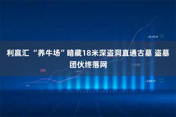 利赢汇 “养牛场”暗藏18米深盗洞直通古墓 盗墓团伙终落网