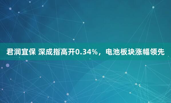 君润宜保 深成指高开0.34%，电池板块涨幅领先